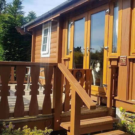 Apartmán Cabin Trawsfynydd Exteriér fotografie