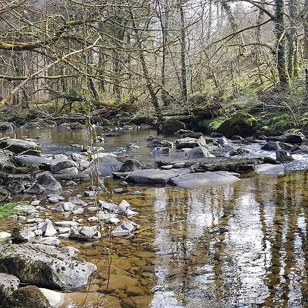 Apartmán Cabin Trawsfynydd Exteriér fotografie