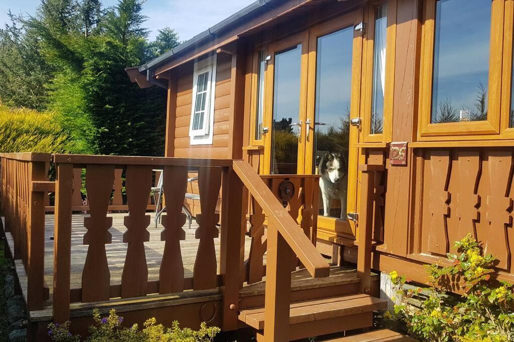 Apartmán Cabin Trawsfynydd Exteriér fotografie