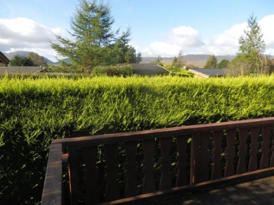 Apartmán Cabin Trawsfynydd Exteriér fotografie
