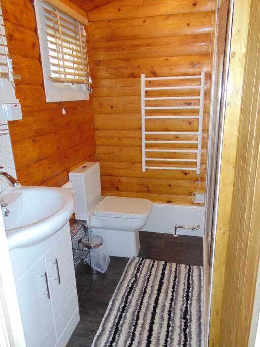 Apartmán Cabin Trawsfynydd Exteriér fotografie